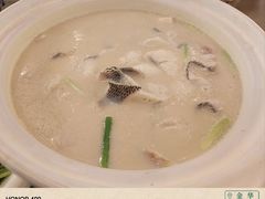 HOHO豆浆鱼-HOHO餐厅(古子城店)