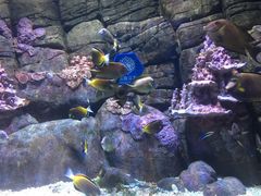 -成都浩海立方海洋公园