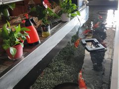 -0776食堂·京城创意菜(七里庄店)