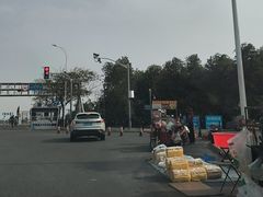 -南汇嘴观海公园