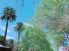 -悉尼歌剧院