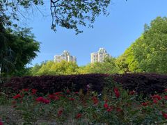 -苏州河梦清园环保主题公园