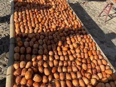 -楠溪江风景名胜区