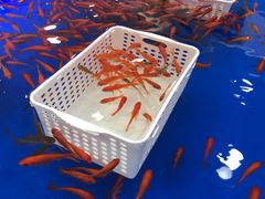 -万达广场(惠州大亚湾店)