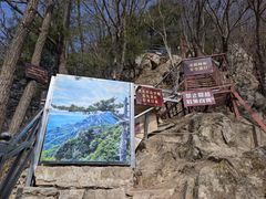 -王顺山国家森林公园