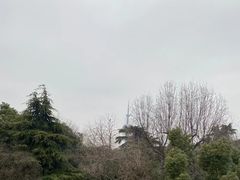 -南京西康宾馆
