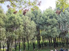 -重庆中央公园(渝北区)