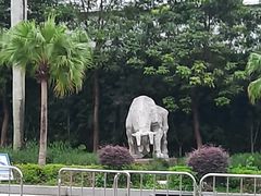 -深圳野生动物园