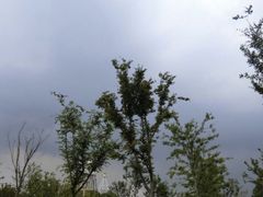 -上海浦江郊野公园·1号停车场