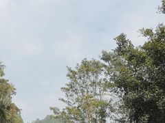 -番禺大夫山森林公园