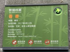 -中国大熊猫保护研究中心雅安碧峰峡基地