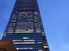 -天龙轩(香港丽思卡尔顿酒店)