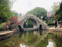 -团结湖公园