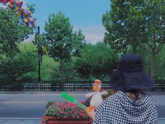 -石家庄市动物园