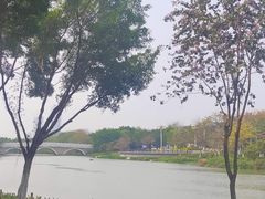 -海珠湖公园