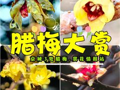 -颐和园
