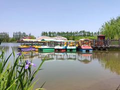 -上海长兴岛郊野公园