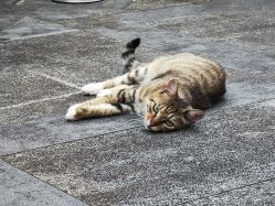 -巍阁高端月子会所