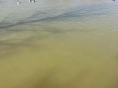 -盐城丹顶鹤湿地生态旅游区
