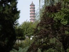-北坞公园