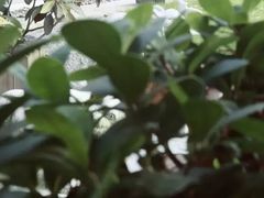 -筼筜书院