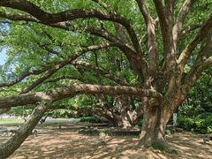 -上海兴国宾馆香樟园西餐厅