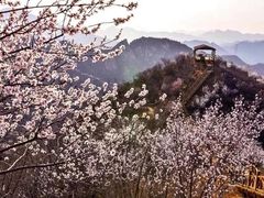 -大岭沟猕猴桃谷风景区