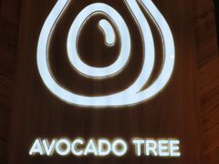 -油梨树AVOCADO TREE(嘉里中心店)