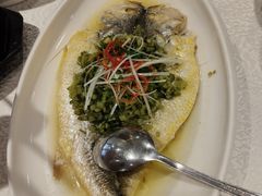 -老人和饭店(打浦路店)
