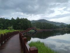 -海南热带雨林国家公园吊罗山景区