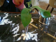 android_upload_pic-大堂茶座