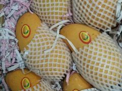 -东方鼎信农副产品交易中心