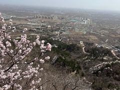 -北京鹫峰国家森林公园