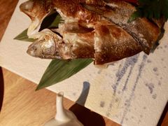 -森味薪火烧•烧鸟居酒屋•日本料理(望京店)