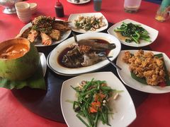 琵琶虾-大树下海鲜饭店