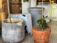 -DEEP COFFEE(瑞光烘焙工厂店)