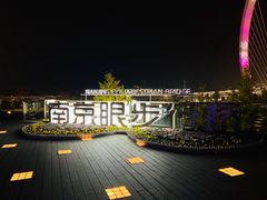 -南京眼步行桥