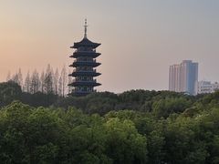 -乡亲鹅肉城(吴江店)