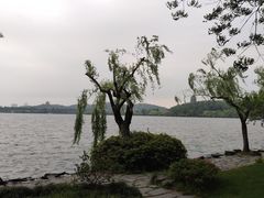 -苏堤停车场