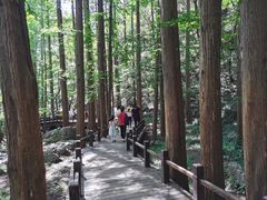 -国家植物园南园