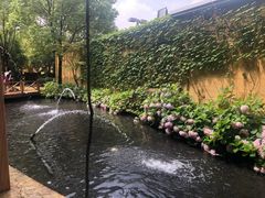 -热带风暴水上乐园(新镇路)