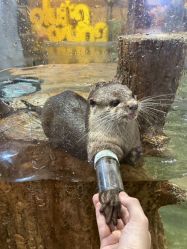 -Zoolung Zoolung动物主题公园(海信广场店)