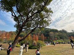 -云溪植物园