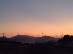 -大姆山草场