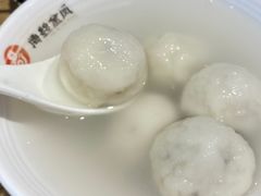 -海丝金凤(金鱼店)
