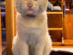 -莽子老火锅自助火锅(通锦桥路店)