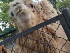 -长白岛森林公园