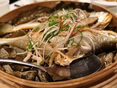 -莲苑中餐厅·Lotus Court(厦门马哥孛罗东方大酒店)