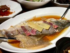 鲥鱼-上海小南国(正大店)