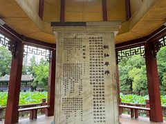 -房湖公园